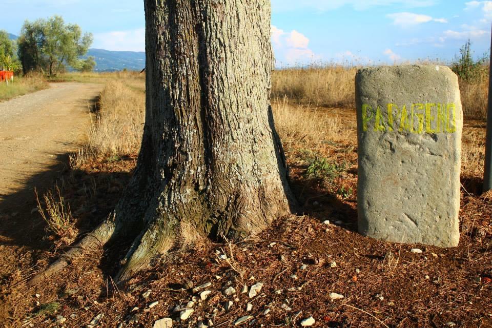 Agriturismo Papageno Rignano sullʼArno Eksteriør billede