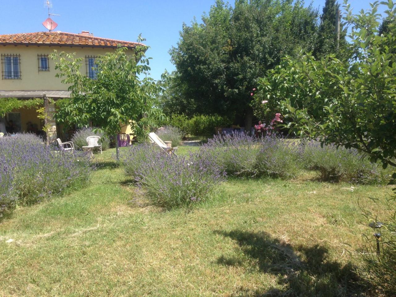 Agriturismo Papageno Rignano sullʼArno Eksteriør billede